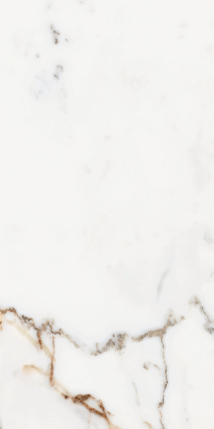 Florim Rex Origines De Rex Or Mat 6Mm 60X120 R 769982