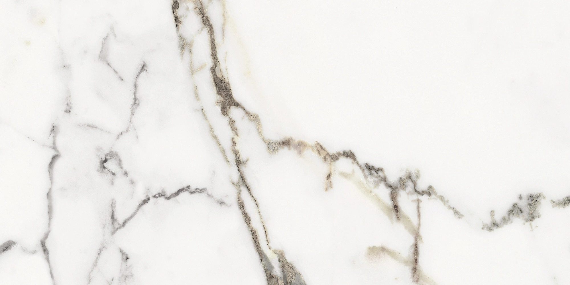 Florim Rex Origines De Rex Or Matte 30X60 Rett 769846