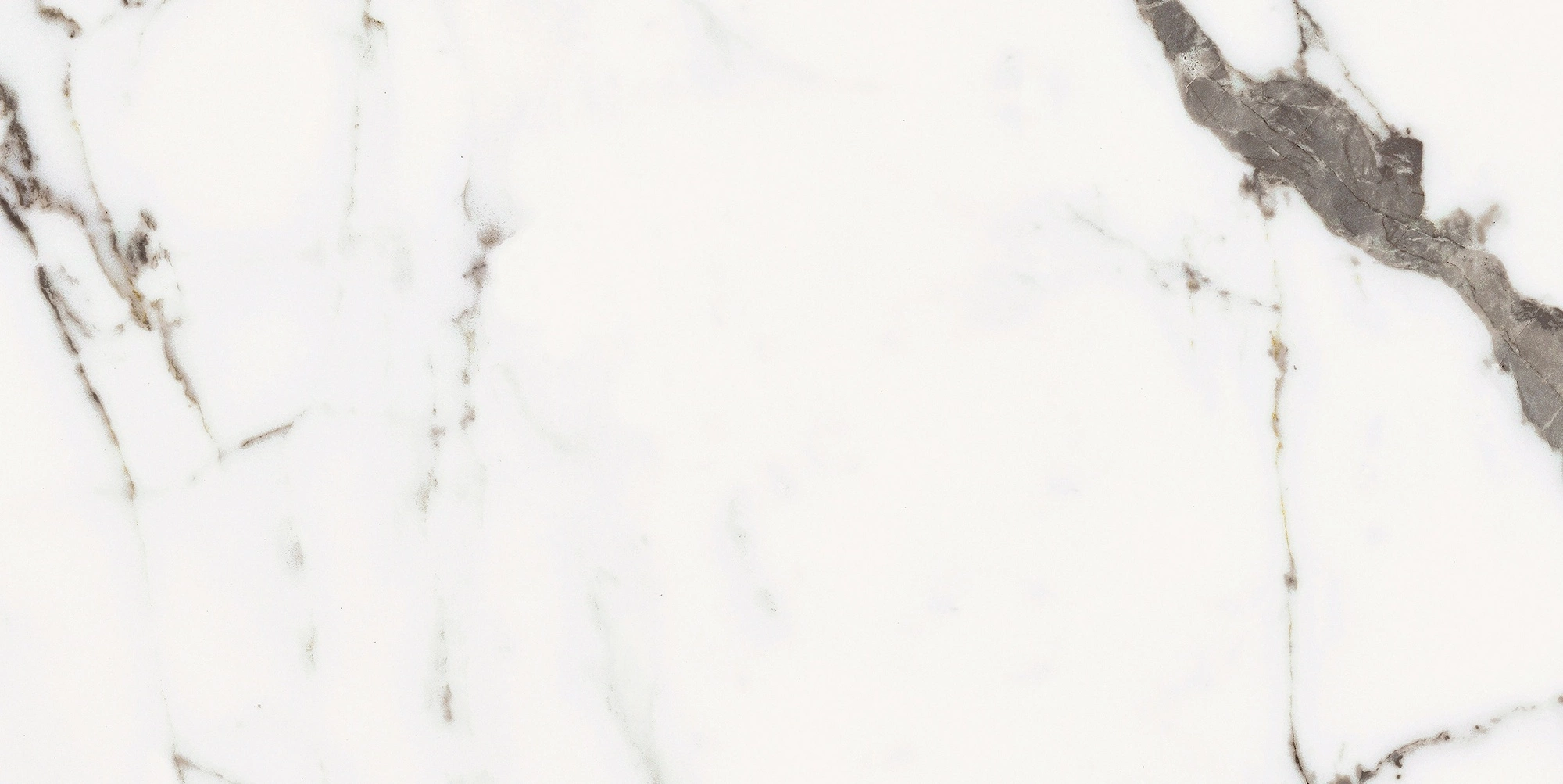 Florim Rex Origines De Rex Or Matte 30X60 Rett 769846