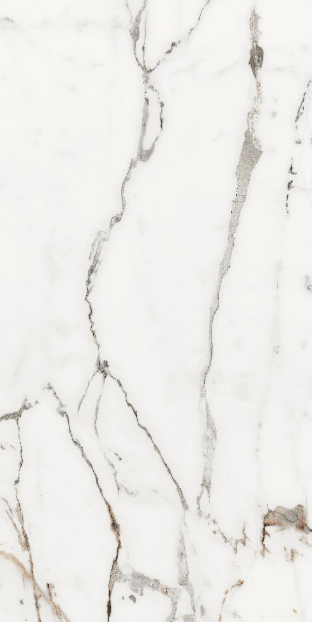 Florim Rex Origines De Rex Or Matte 60X120 Rett 769854