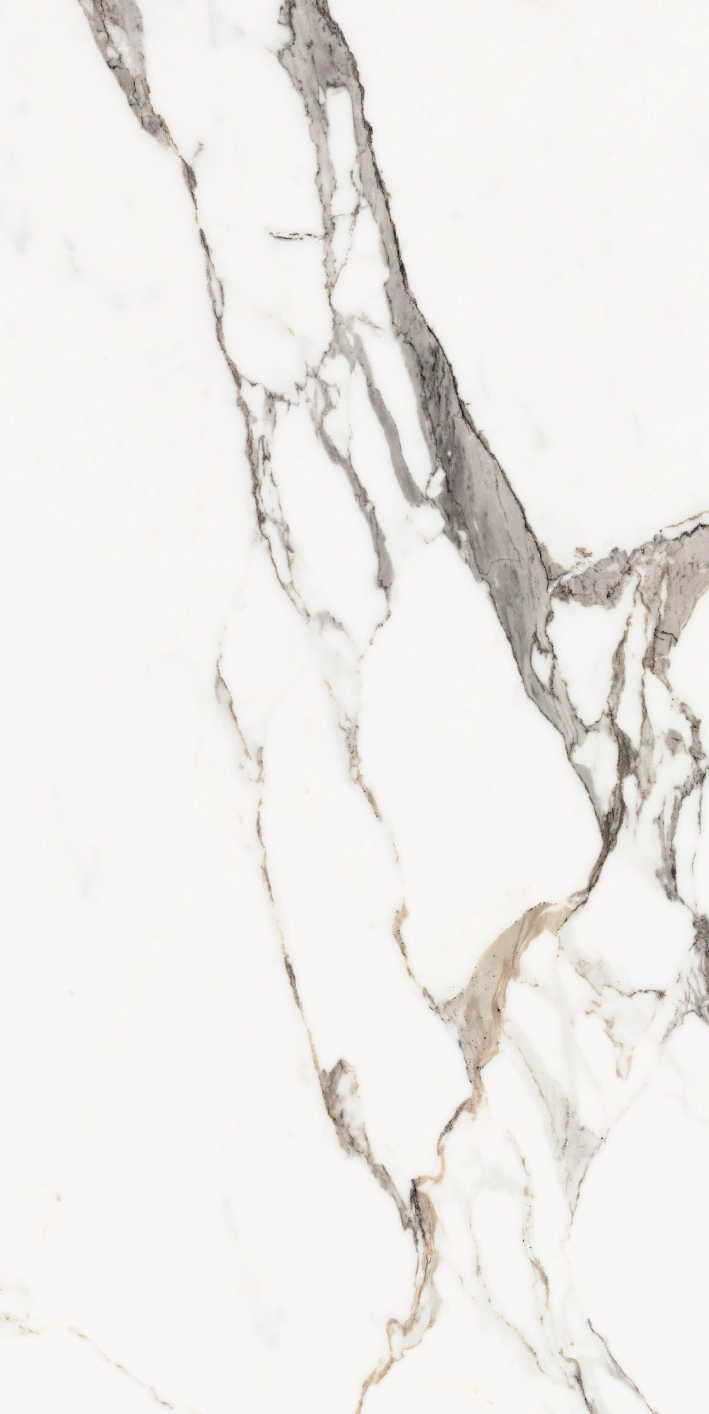 Florim Rex Origines De Rex Or Matte 60X120 Rett 769854