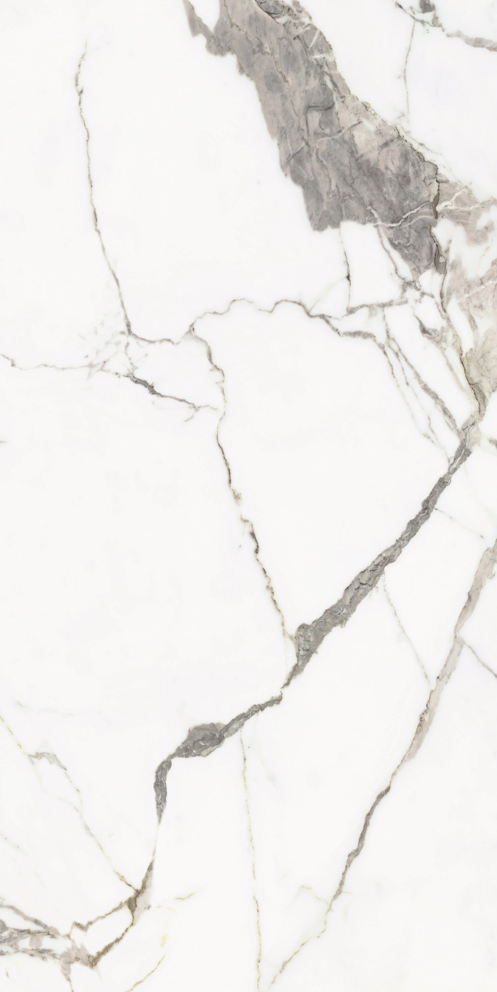 Florim Rex Origines De Rex Or Matte 60X120 Rett 769854