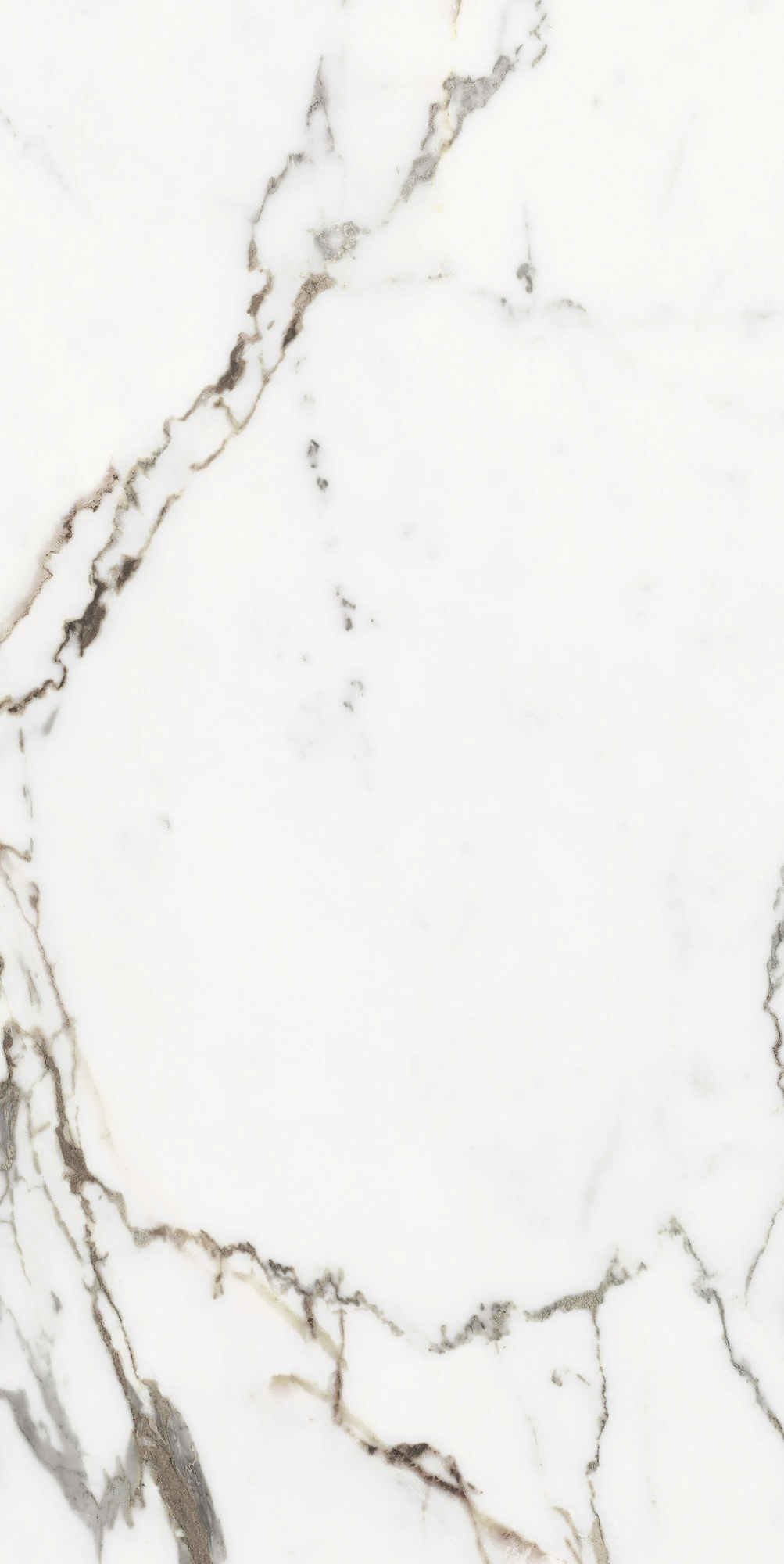 Florim Rex Origines De Rex Or Matte 60X120 Rett 769854