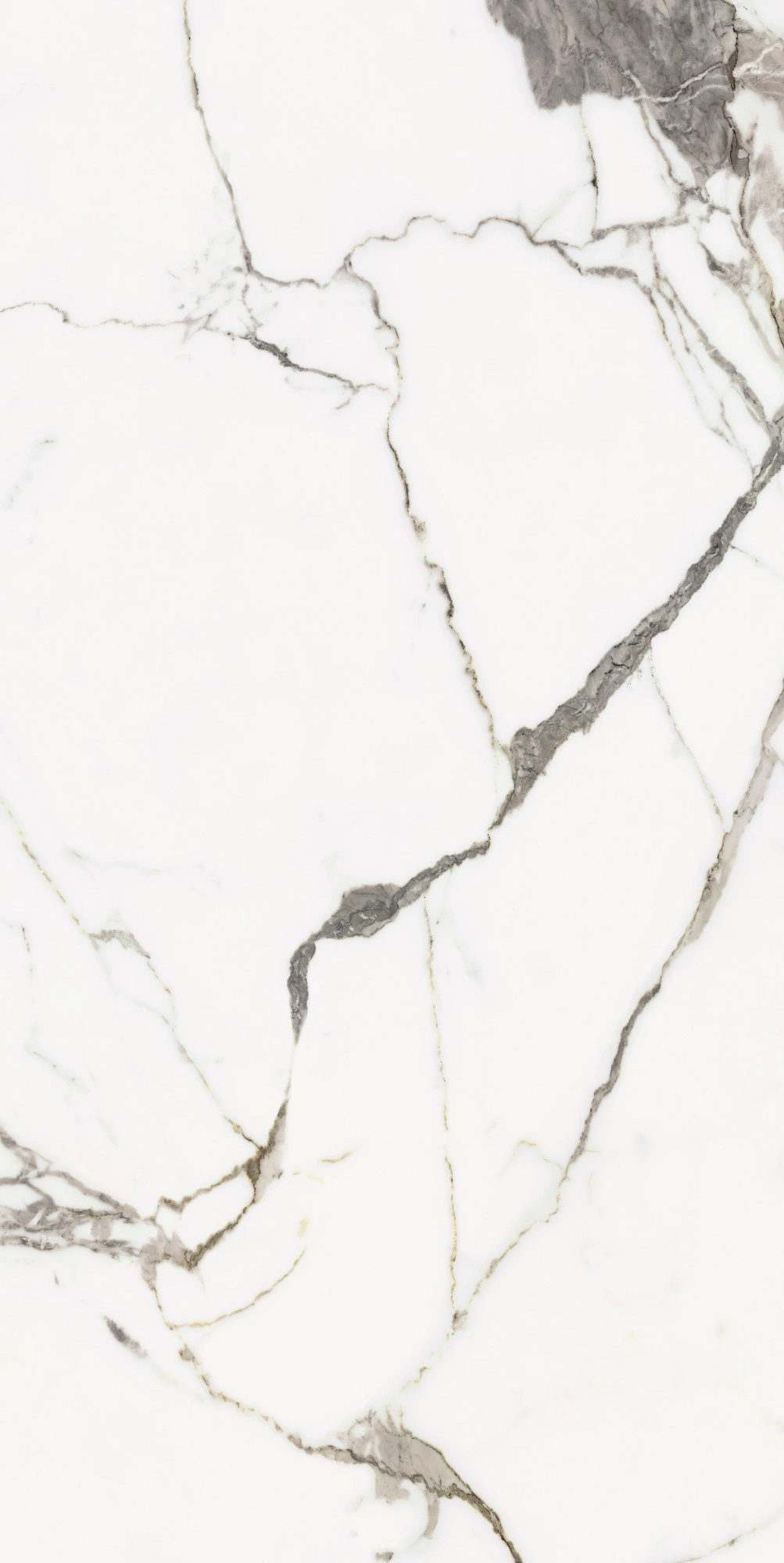 Florim Rex Origines De Rex Or Matte 60X120 Rett 769854