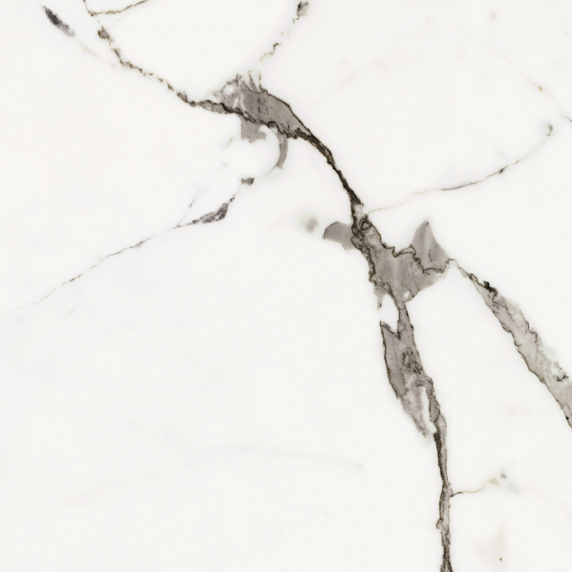 Florim Rex Origines De Rex Or Matte 60X60 Rett 769838