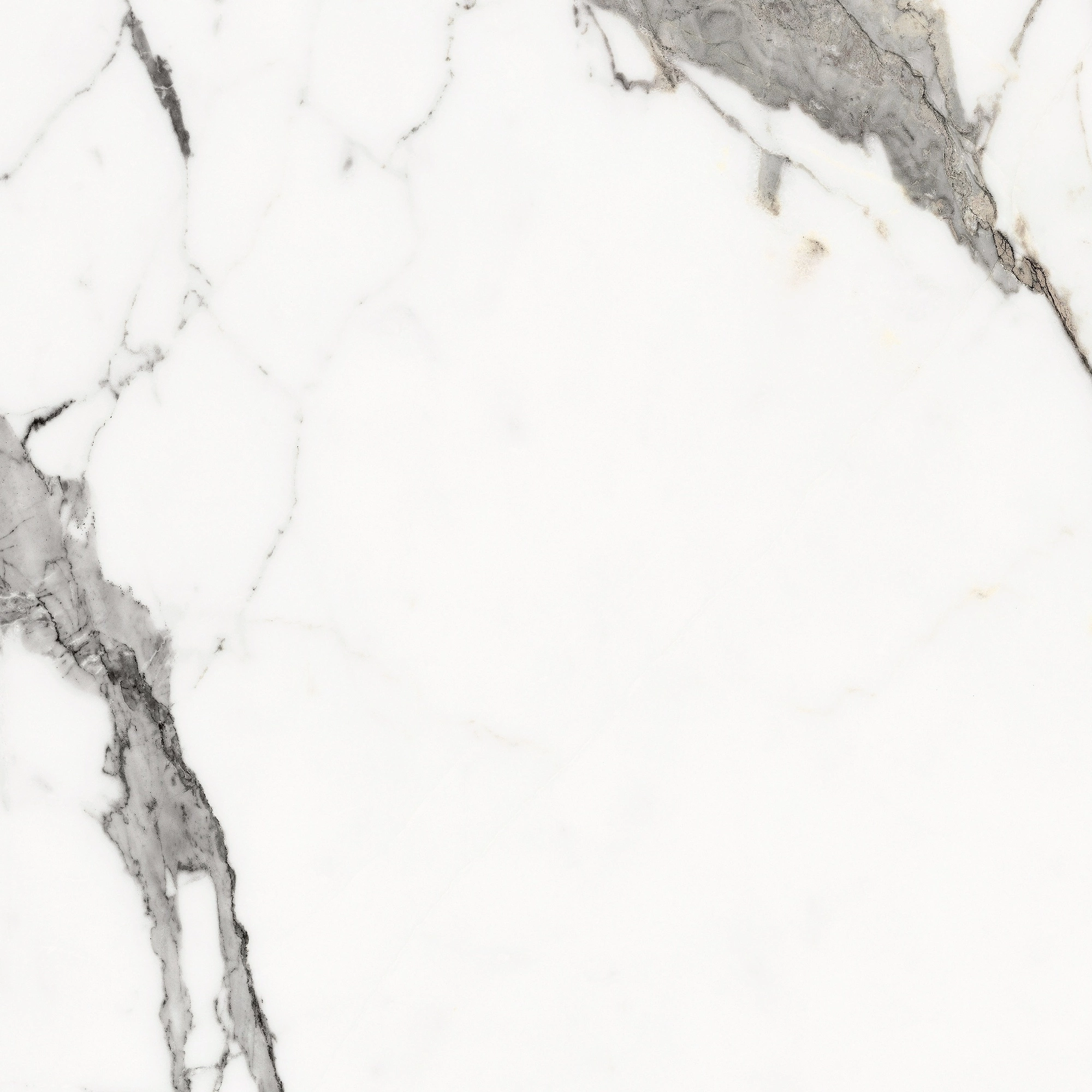 Florim Rex Origines De Rex Or Matte 60X60 Rett 769838