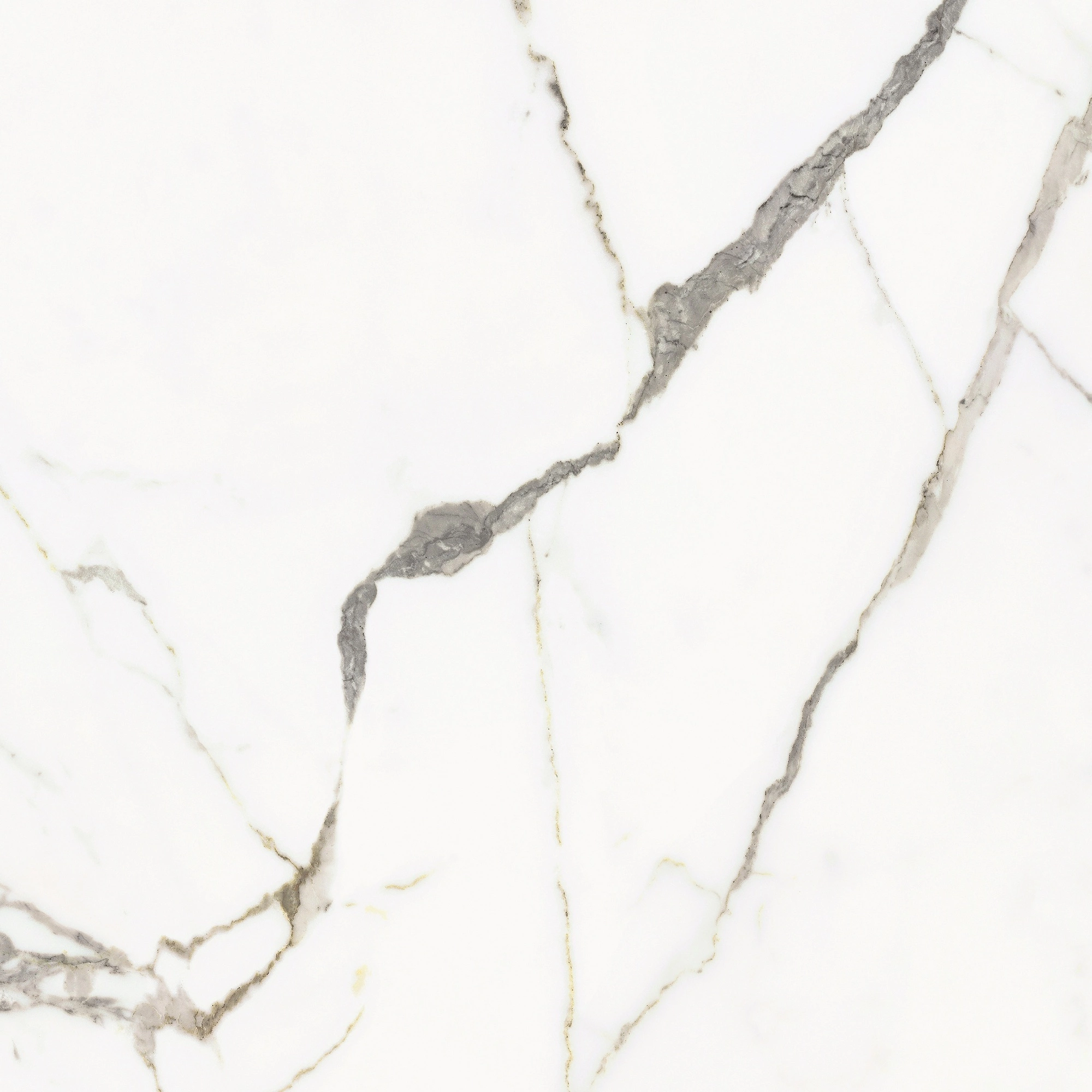 Florim Rex Origines De Rex Or Matte 60X60 Rett 769838