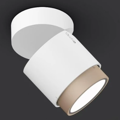 lui volto - Spotlight