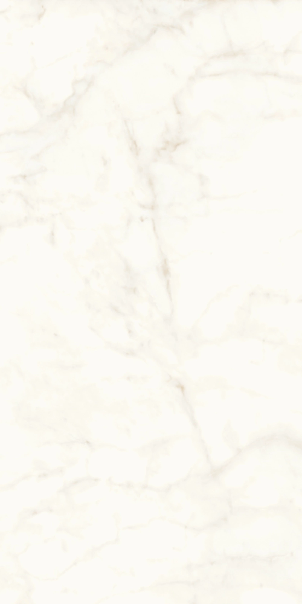 Atlas Concorde Marvel Calacatta Delicato 120X240 Lappato A4RH