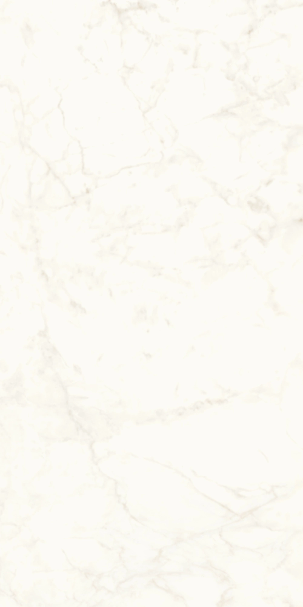 Atlas Concorde Marvel Calacatta Delicato 120X240 Lappato A4RH