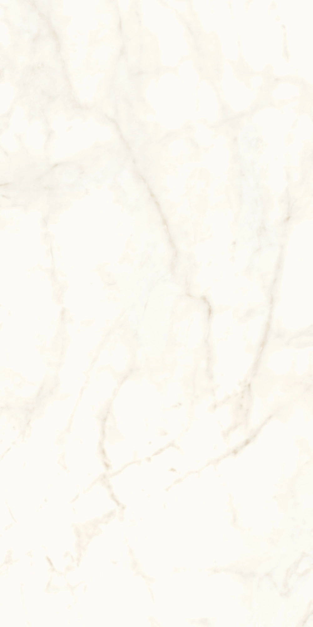 Atlas Concorde Marvel Calacatta Delicato 120X240 Lappato A4RH