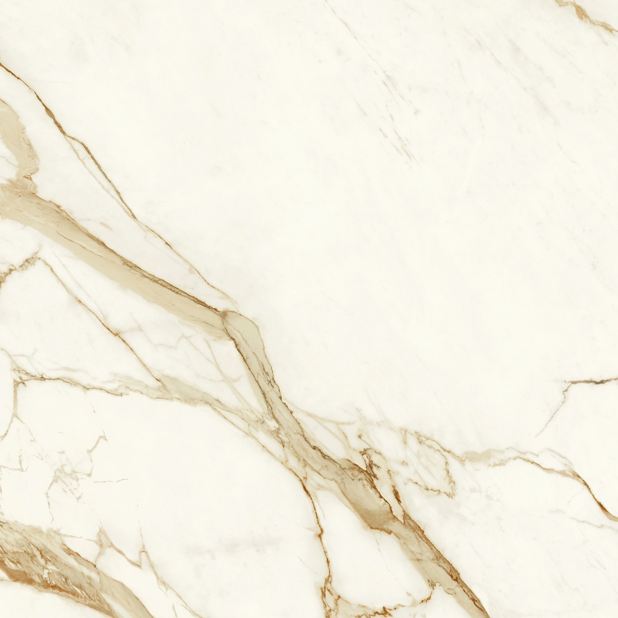 Atlas Concorde Marvel Calacatta Imperiale 120X120 Lappato  A4RB