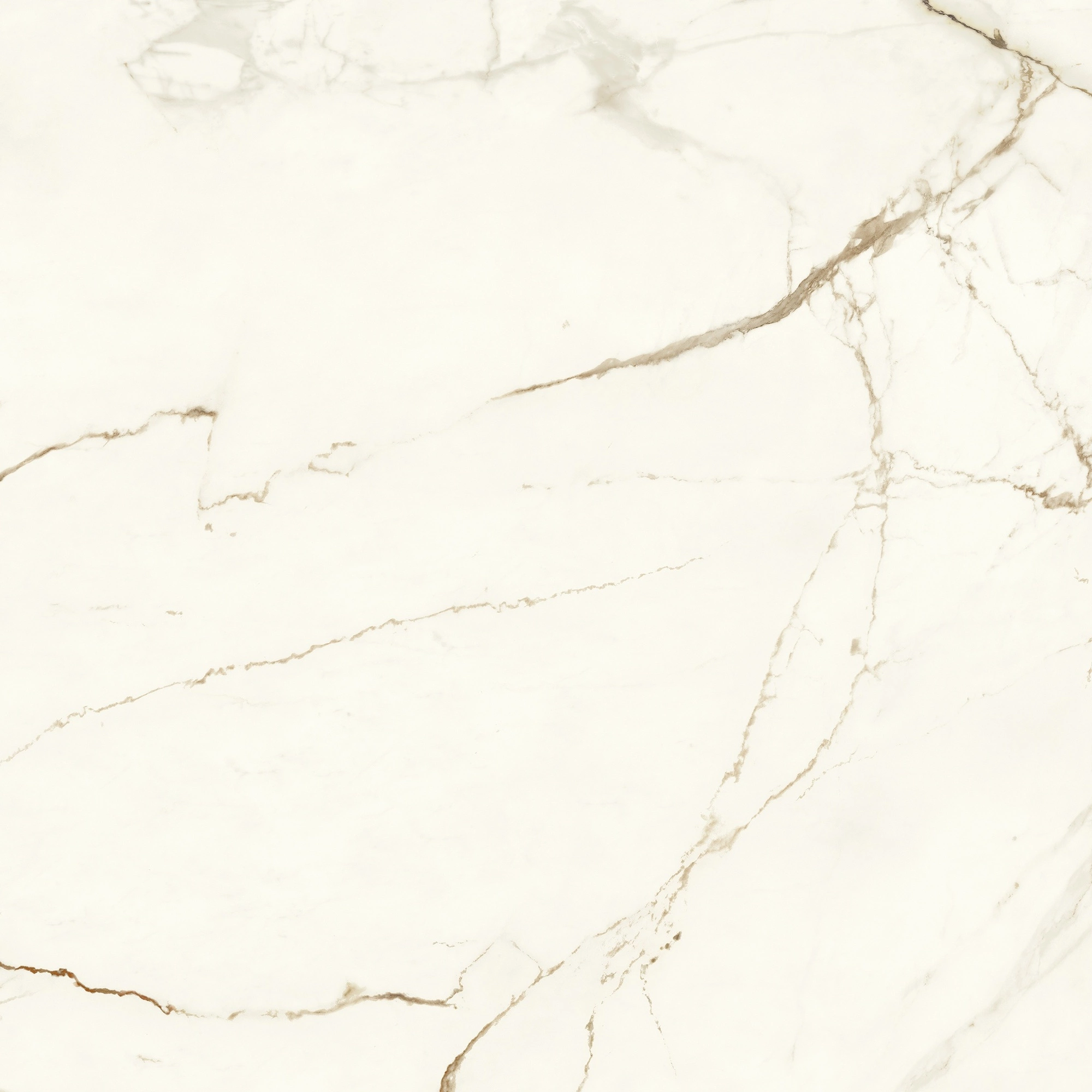 Atlas Concorde Marvel Calacatta Imperiale 120X120 Matt  A4Q7