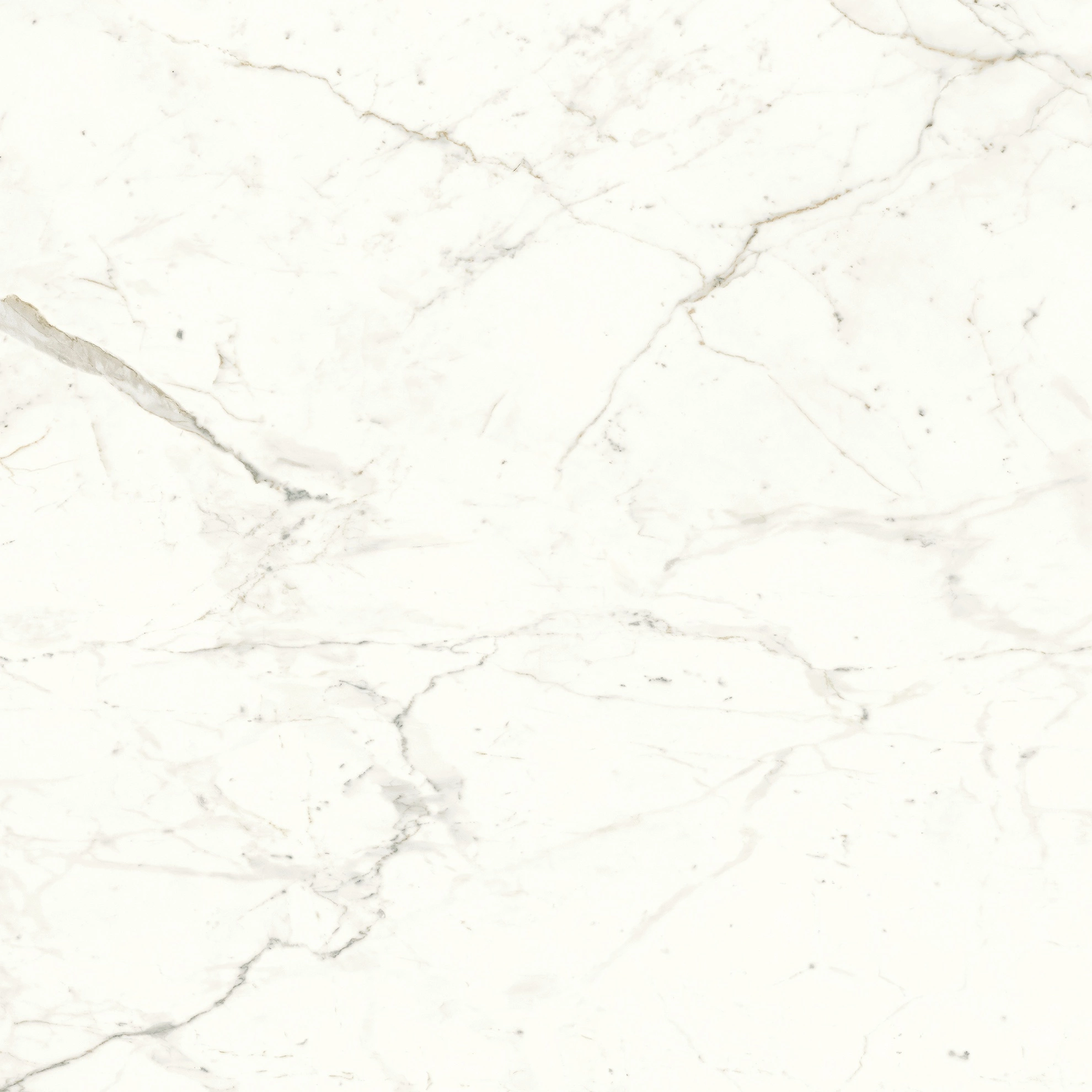 Atlas Concorde Marvel Calacatta Prestigio 120X120 Lappato  A4Q9