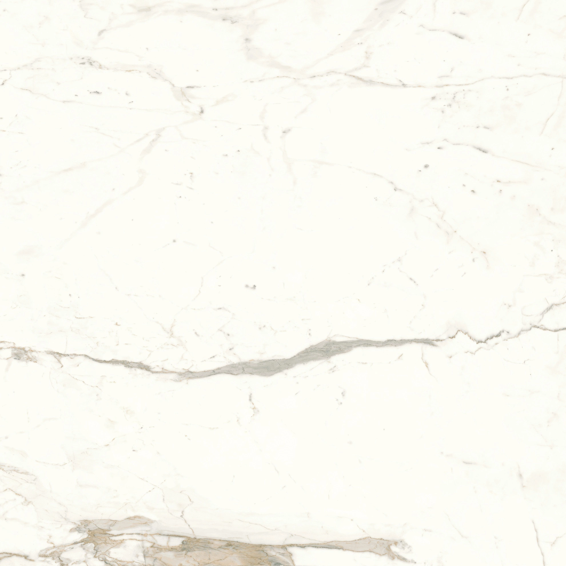 Atlas Concorde Marvel Calacatta Prestigio 120X120 Matt  A4Q5