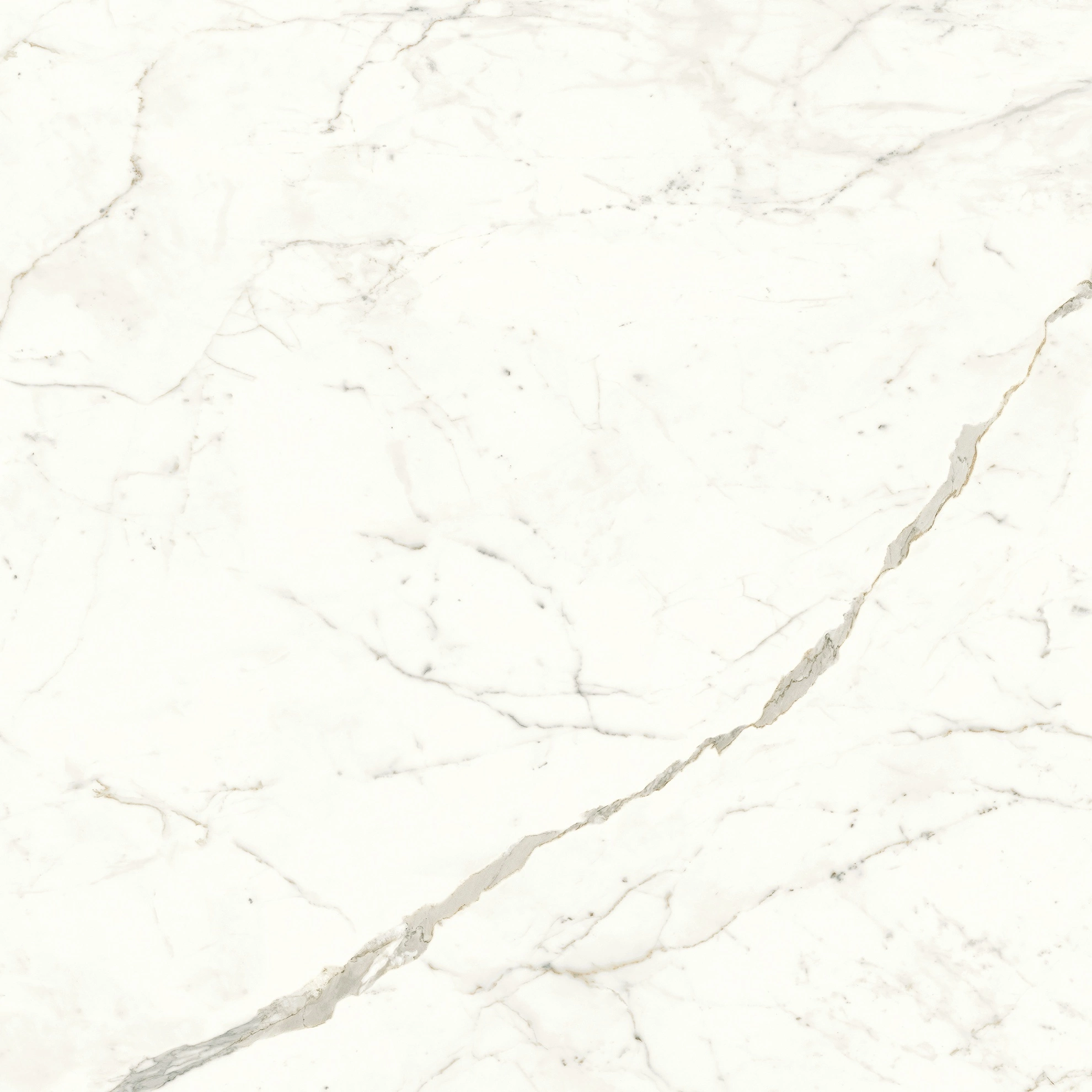 Atlas Concorde Marvel Calacatta Prestigio 120X120 Matt  A4Q5