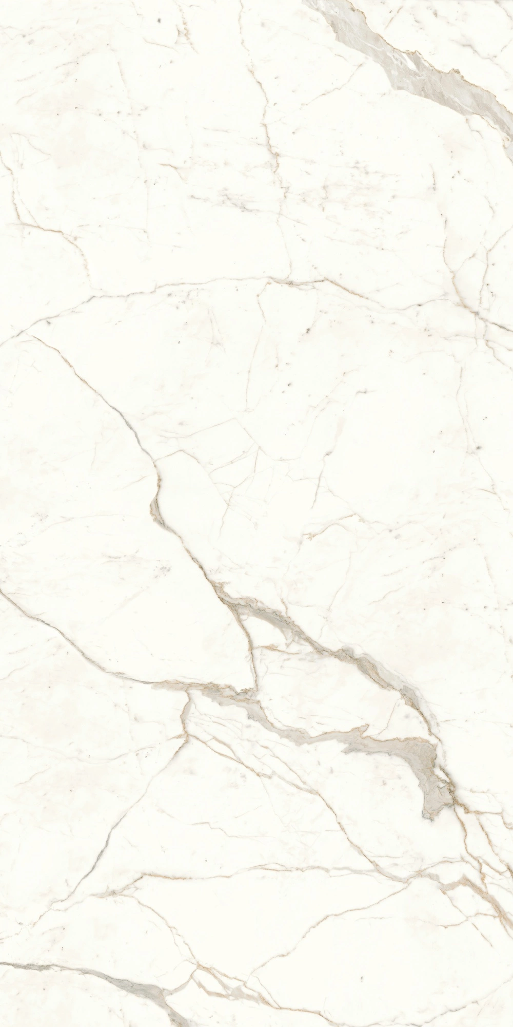 Atlas Concorde Marvel Calacatta Prestigio 120X240 Lappato A4RI