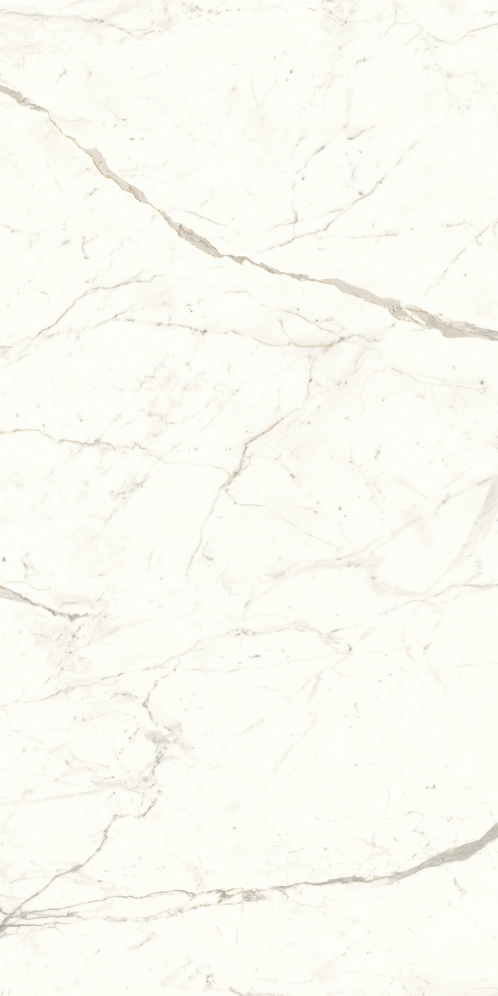 Atlas Concorde Marvel Calacatta Prestigio 120X240 Lappato A4RI