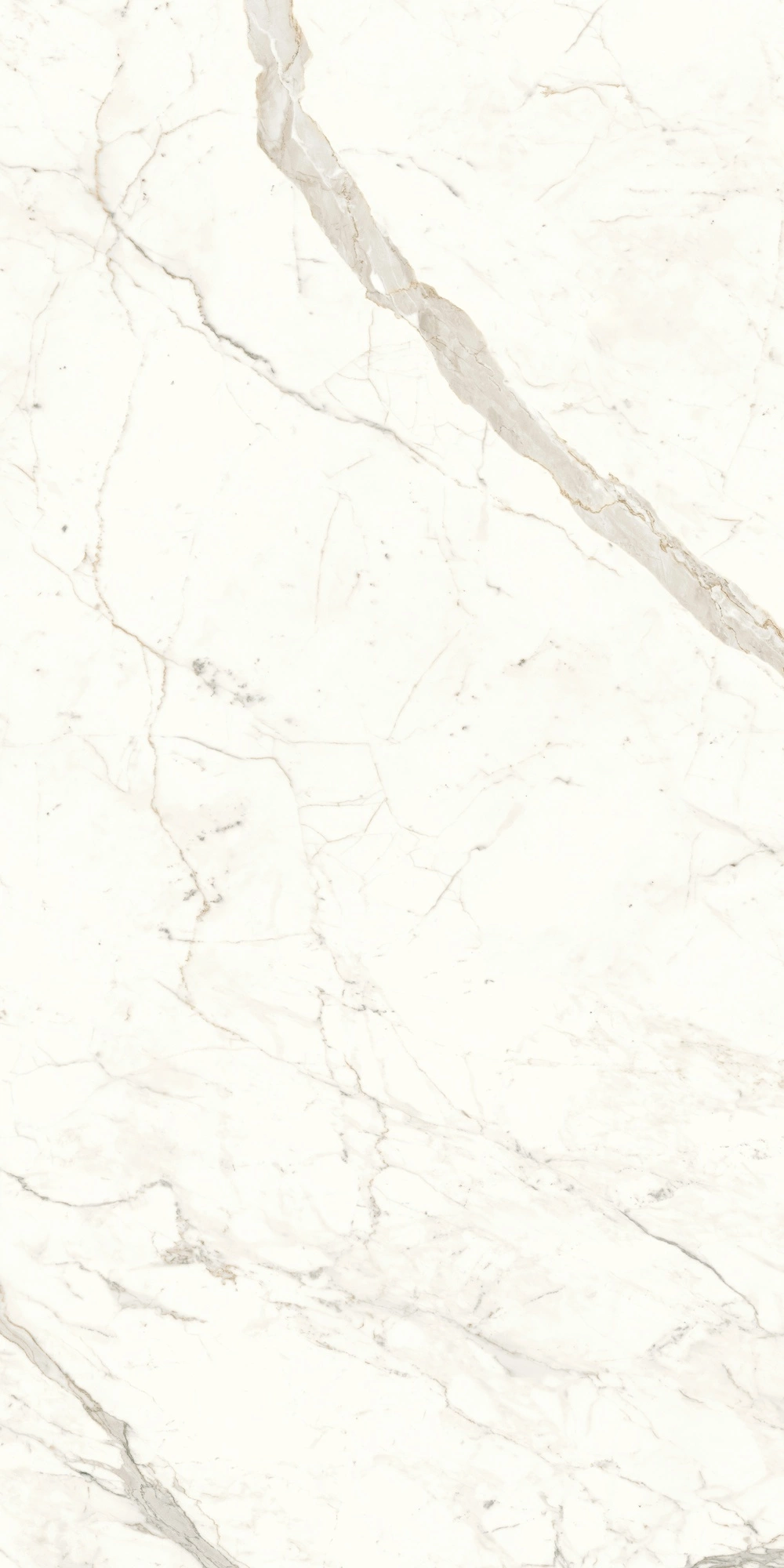 Atlas Concorde Marvel Calacatta Prestigio 120X240 Lappato A4RI