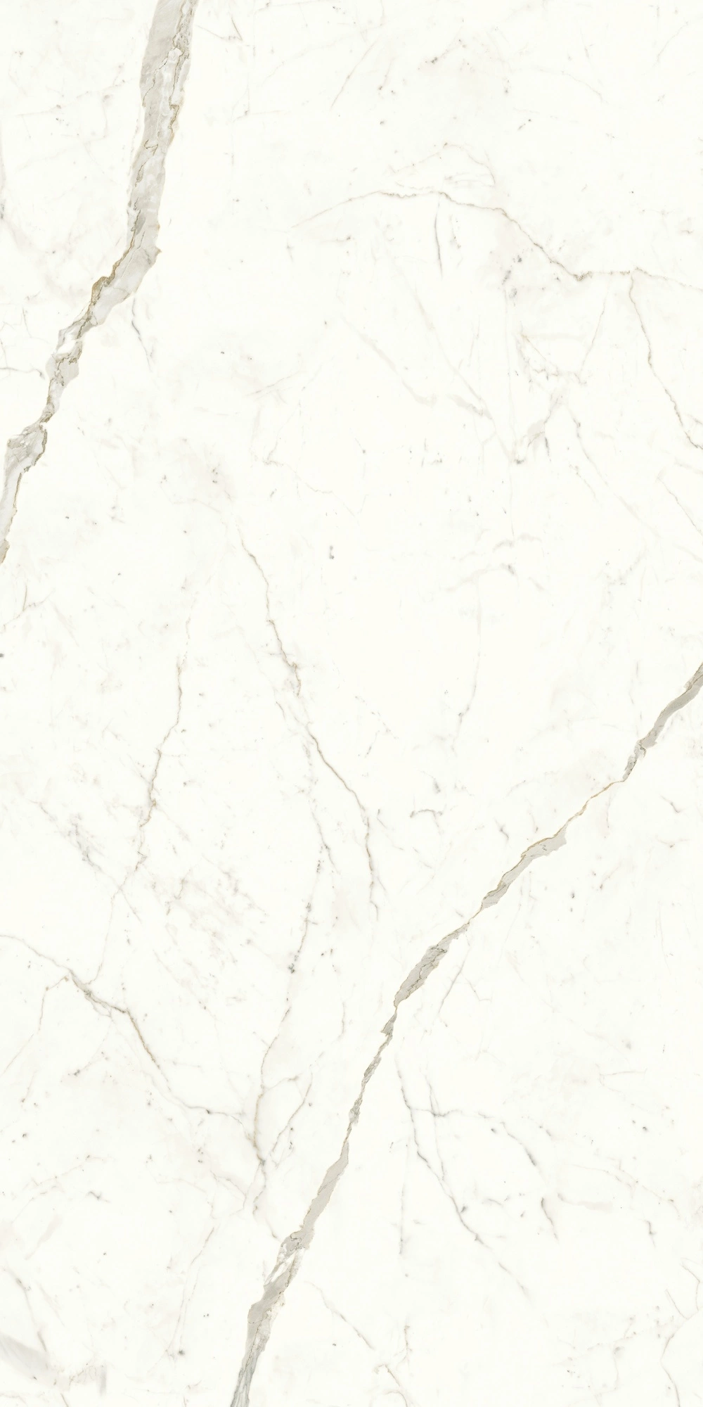 Atlas Concorde Marvel Calacatta Prestigio 120X240 Lappato A4RI