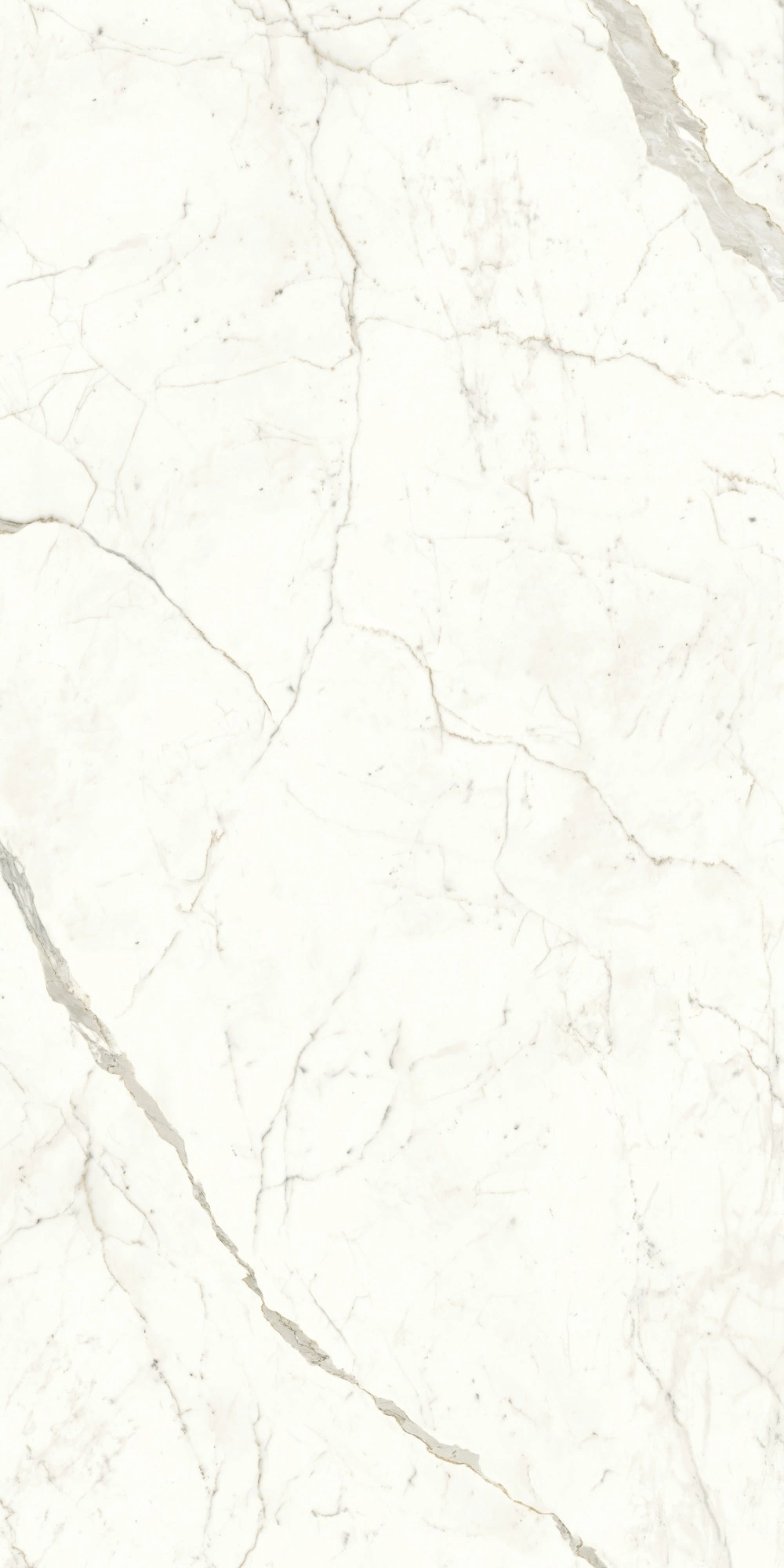 Atlas Concorde Marvel Calacatta Prestigio 120X240 Lappato A4RI