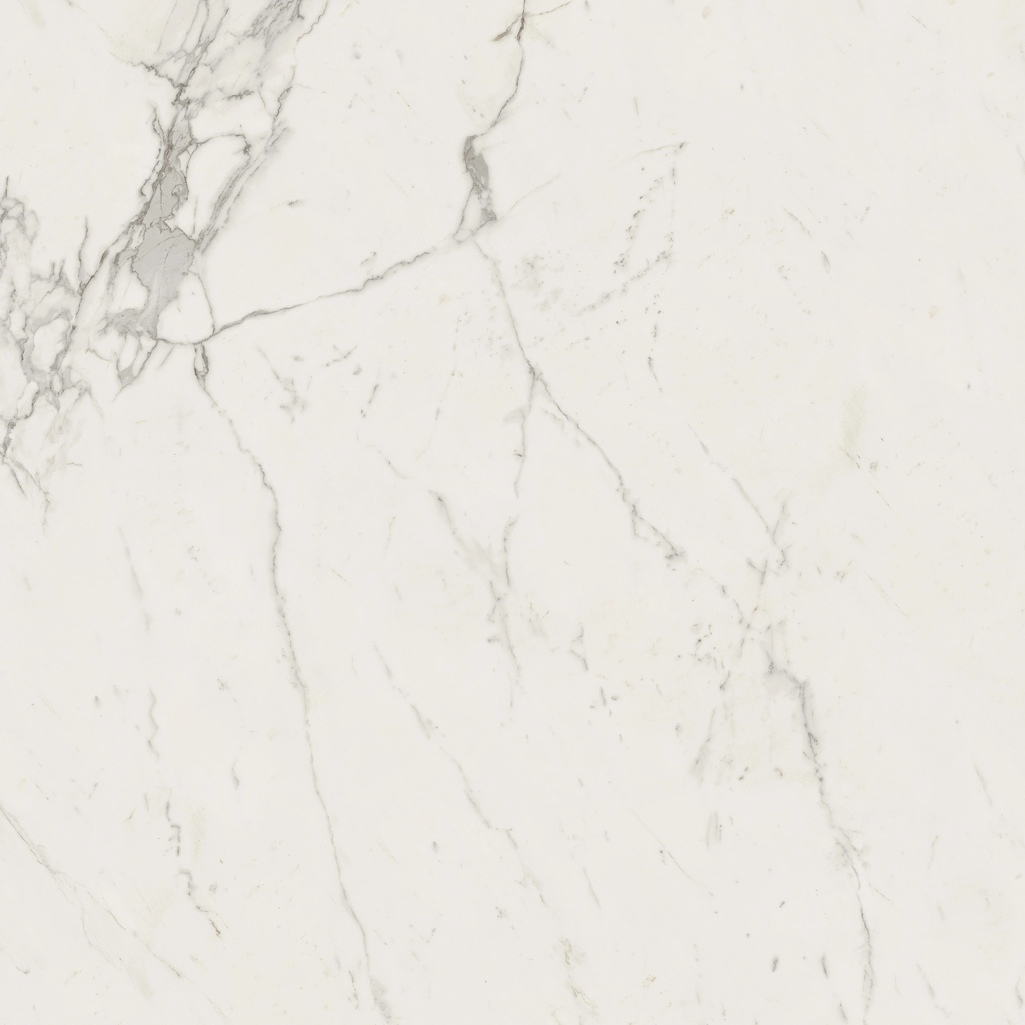 Atlas Concorde Marvel Calacatta Extra 120X120 A20Y