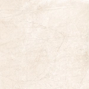 Cerdomus Fondinat.Rettificat60X60 65307