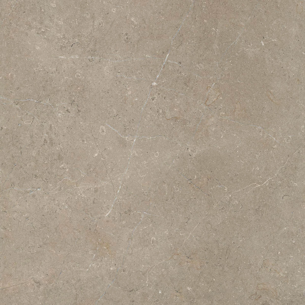 Marazzi Limestone Taupe Rt M7E5