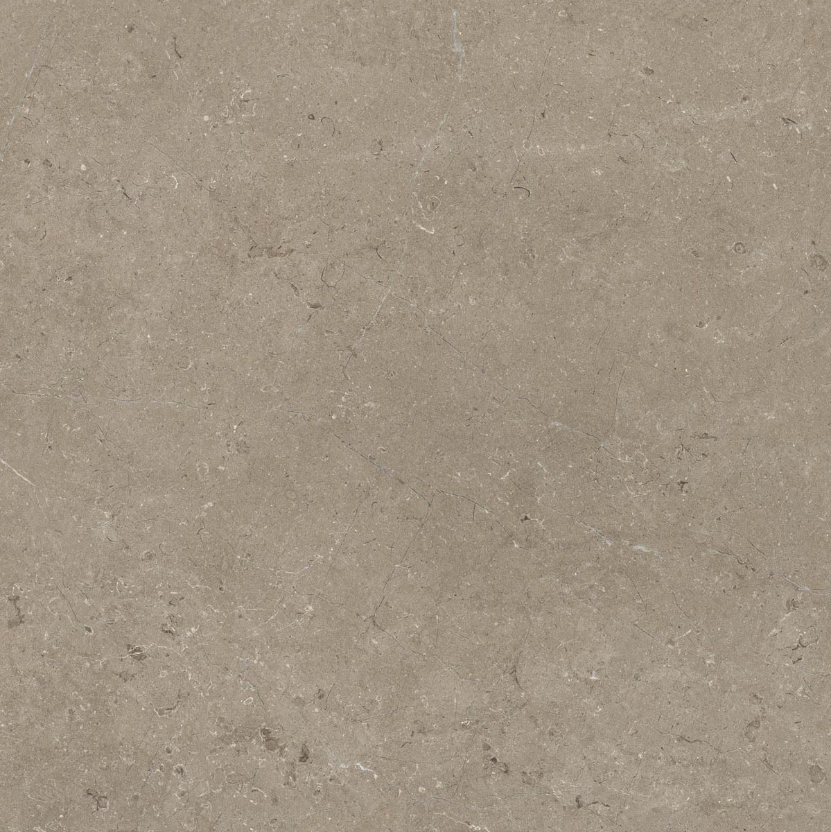 Marazzi Limestone Taupe Rt M7E5