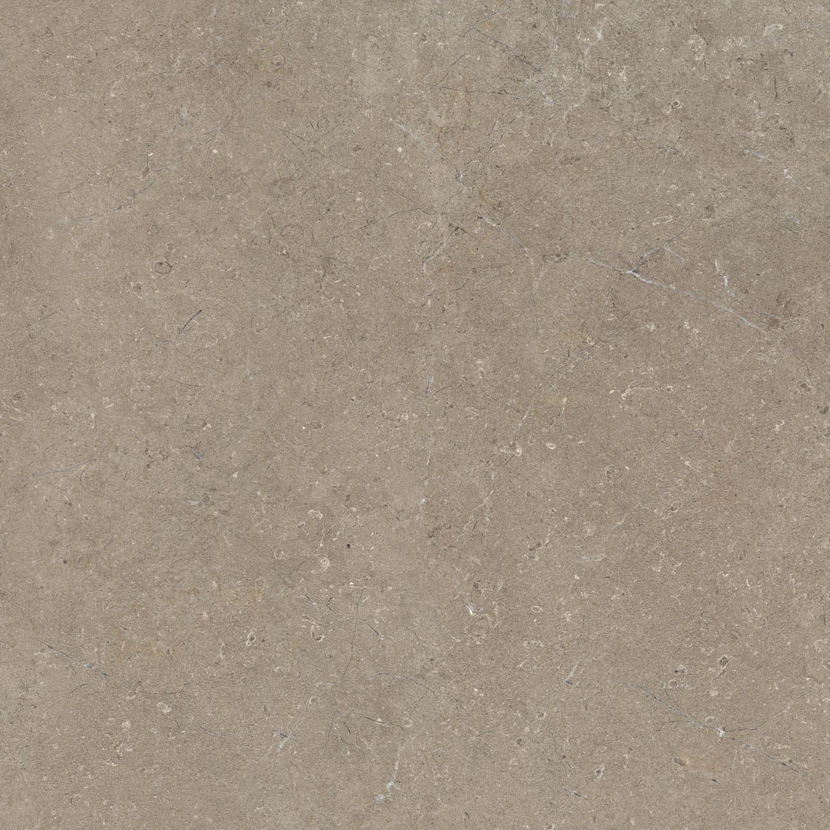 Marazzi Limestone Taupe Rt M7E5