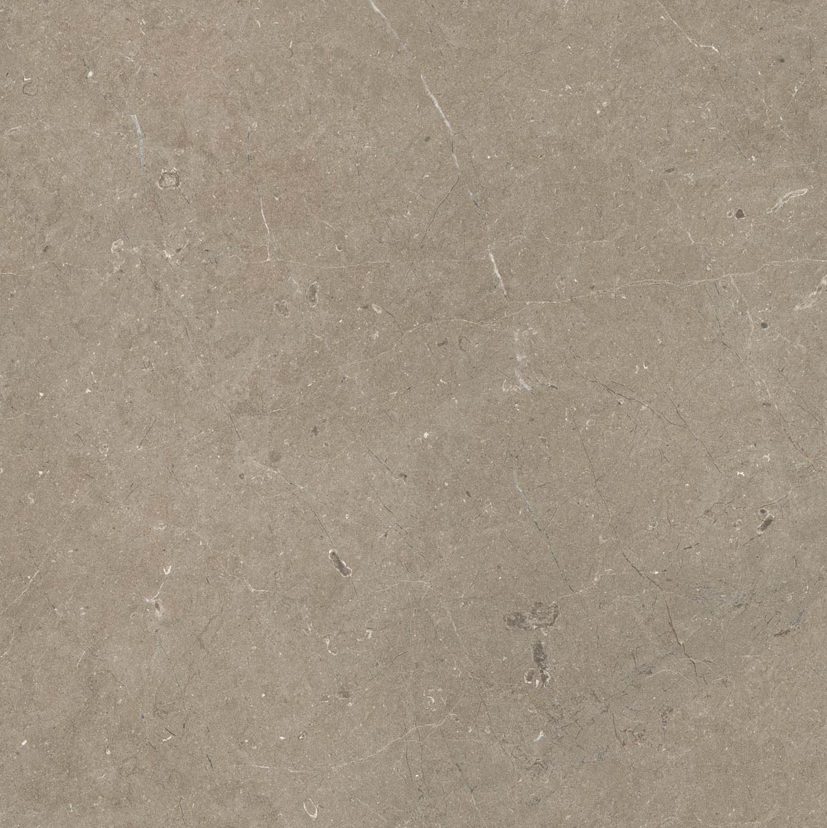 Marazzi Limestone Taupe Rt M7E5
