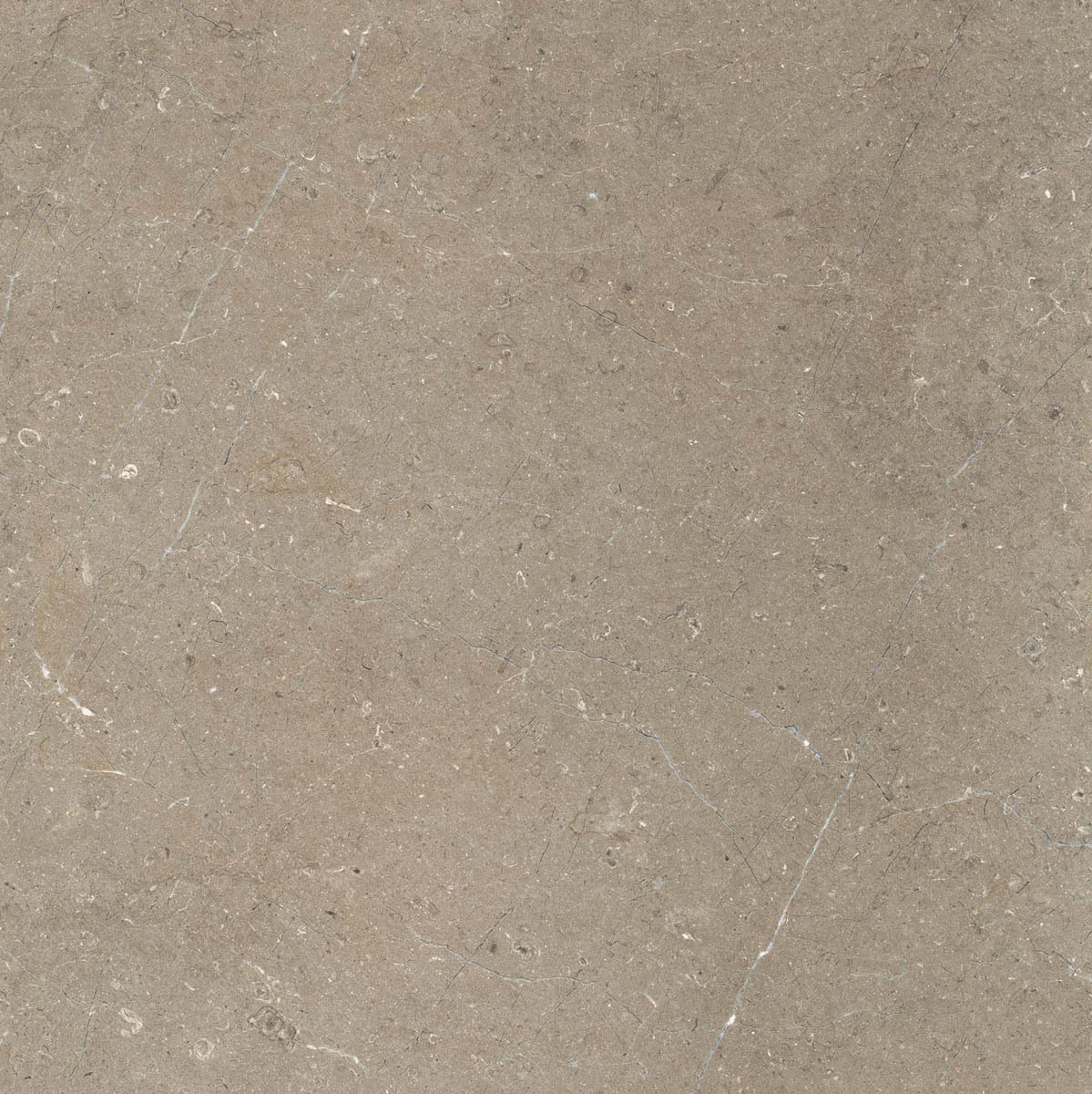 Marazzi Limestone Taupe Velvet M7EZ