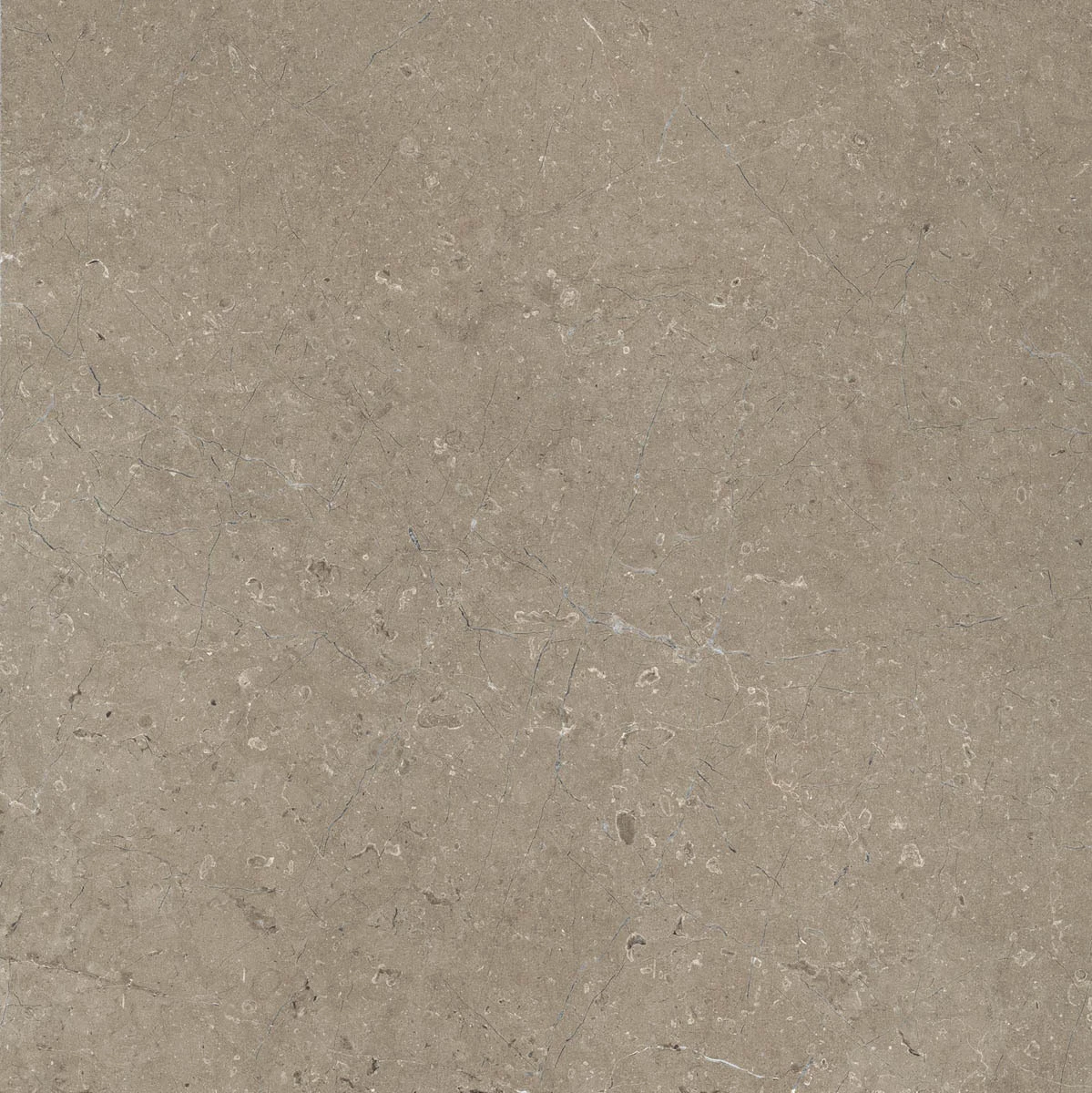 Marazzi Limestone Taupe Velvet M7EZ