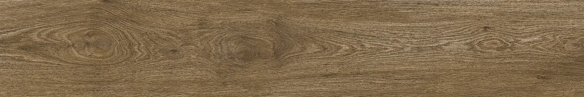 Ragno Ossimori Marrone Rt R9RL