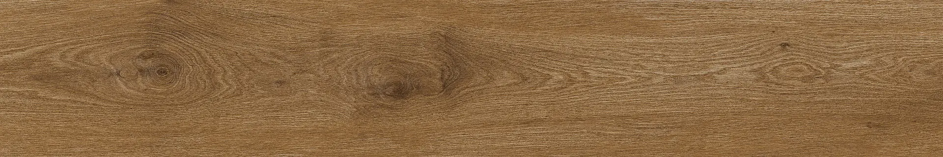 Ragno Ossimori Miele Rt R9RK