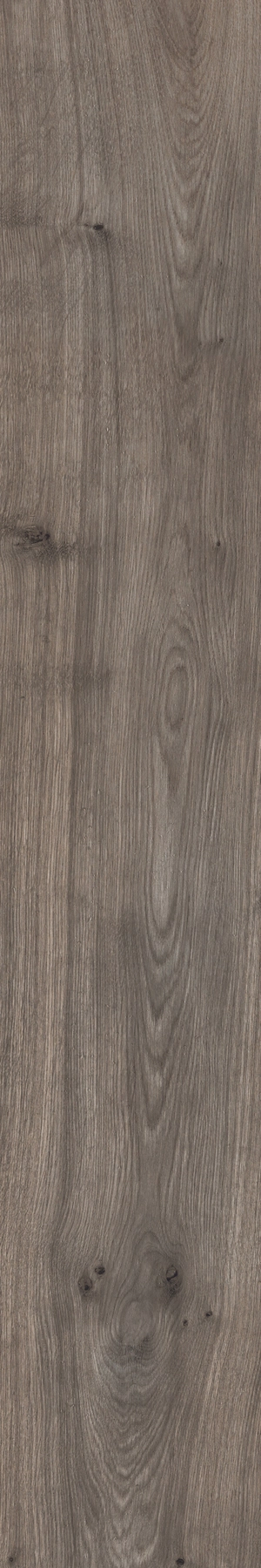 Sant'Agostino Primew.Bro.20120 As CSAPRWBS20