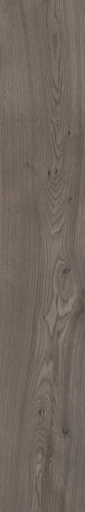 Sant'Agostino Primewood Bro.20120 CSAPRWBR20