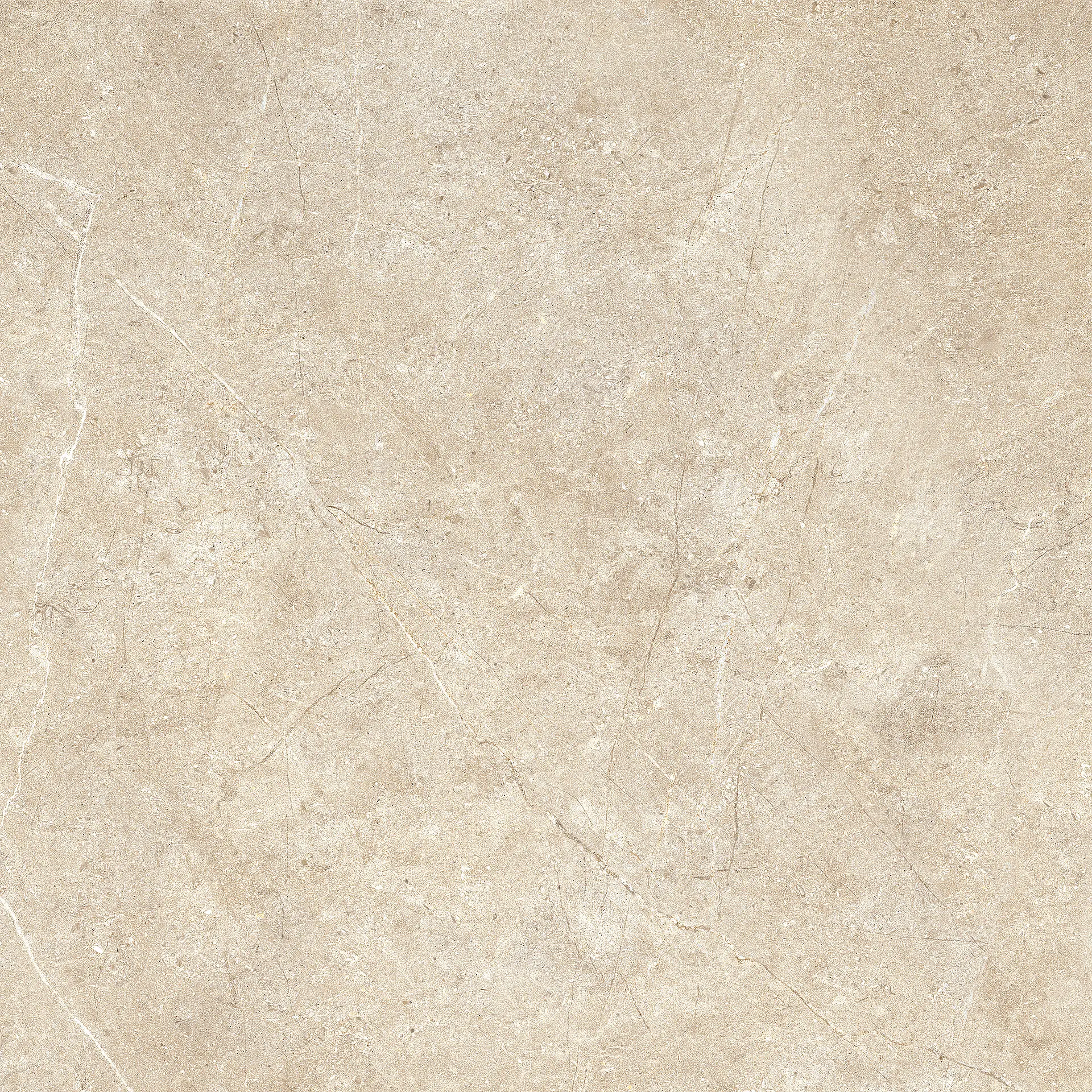 Ragno Argent Sabbia Ptv Rt R9KS