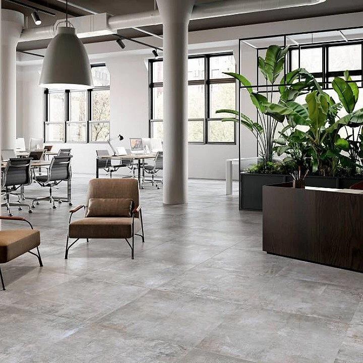 Refin Plant Ash R 60X60 LY36