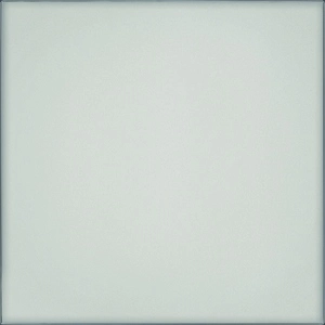 Refin Vetri Naturale Lucido R. 60X60 MK83