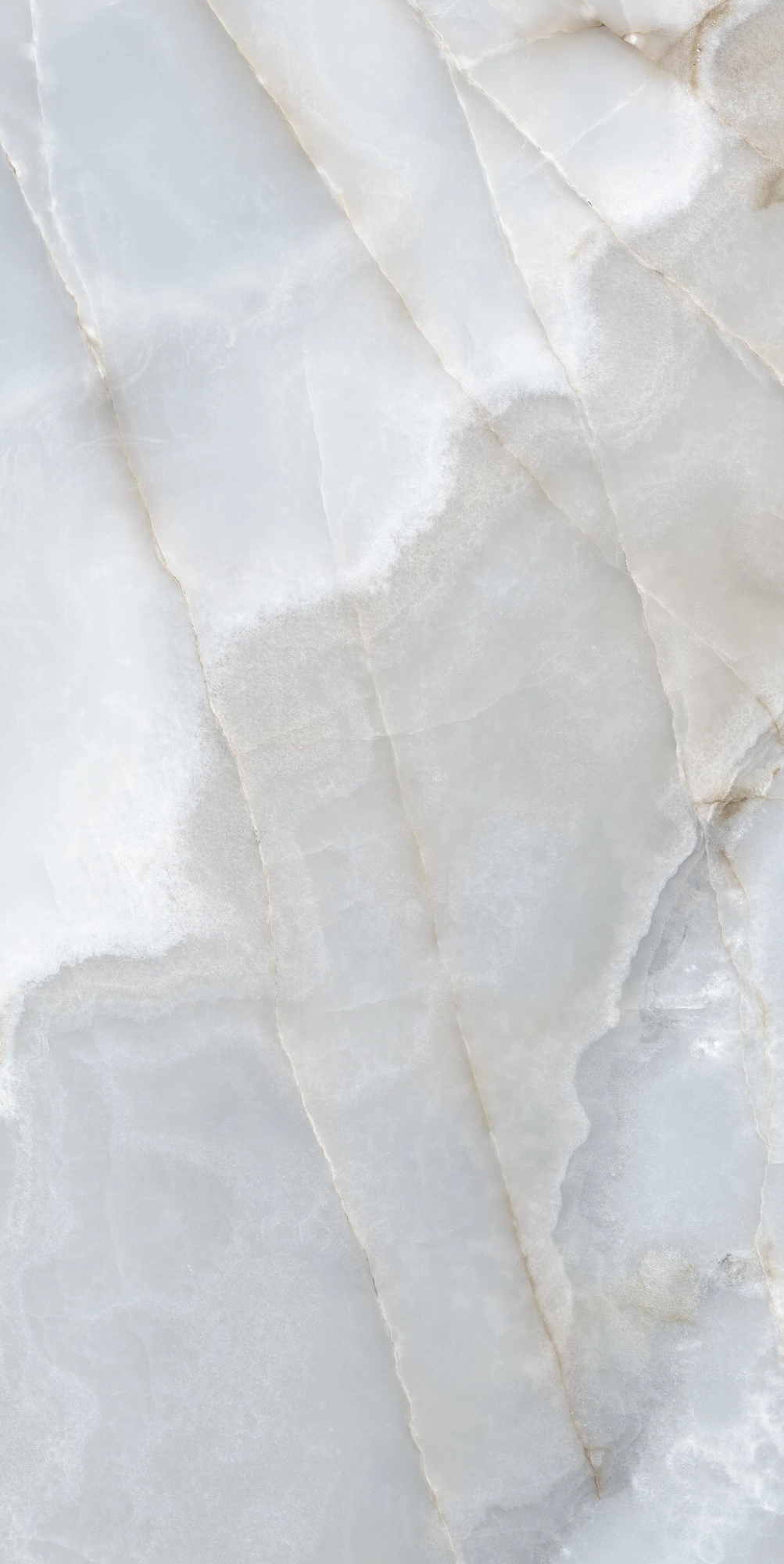 Florim Rex Reves De Rex Bleu Matte 60X120 Rett 769813