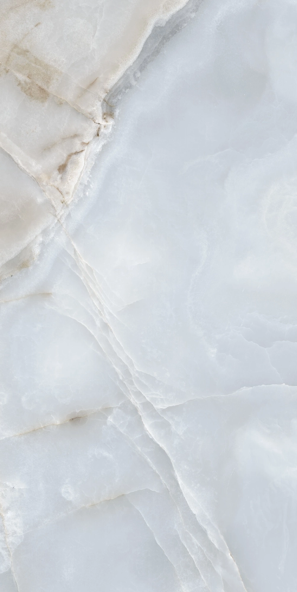 Florim Rex Reves De Rex Bleu Matte 60X120 Rett 769813