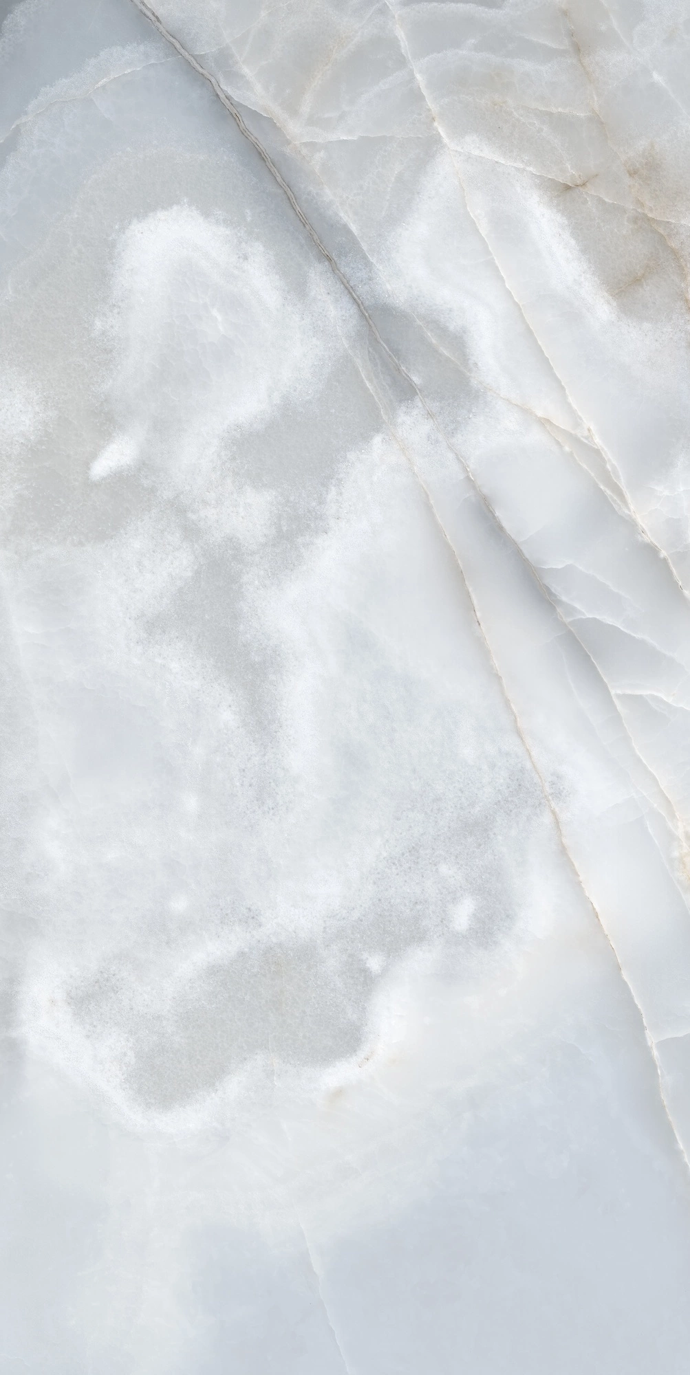 Florim Rex Reves De Rex Bleu Matte 60X120 Rett 769813