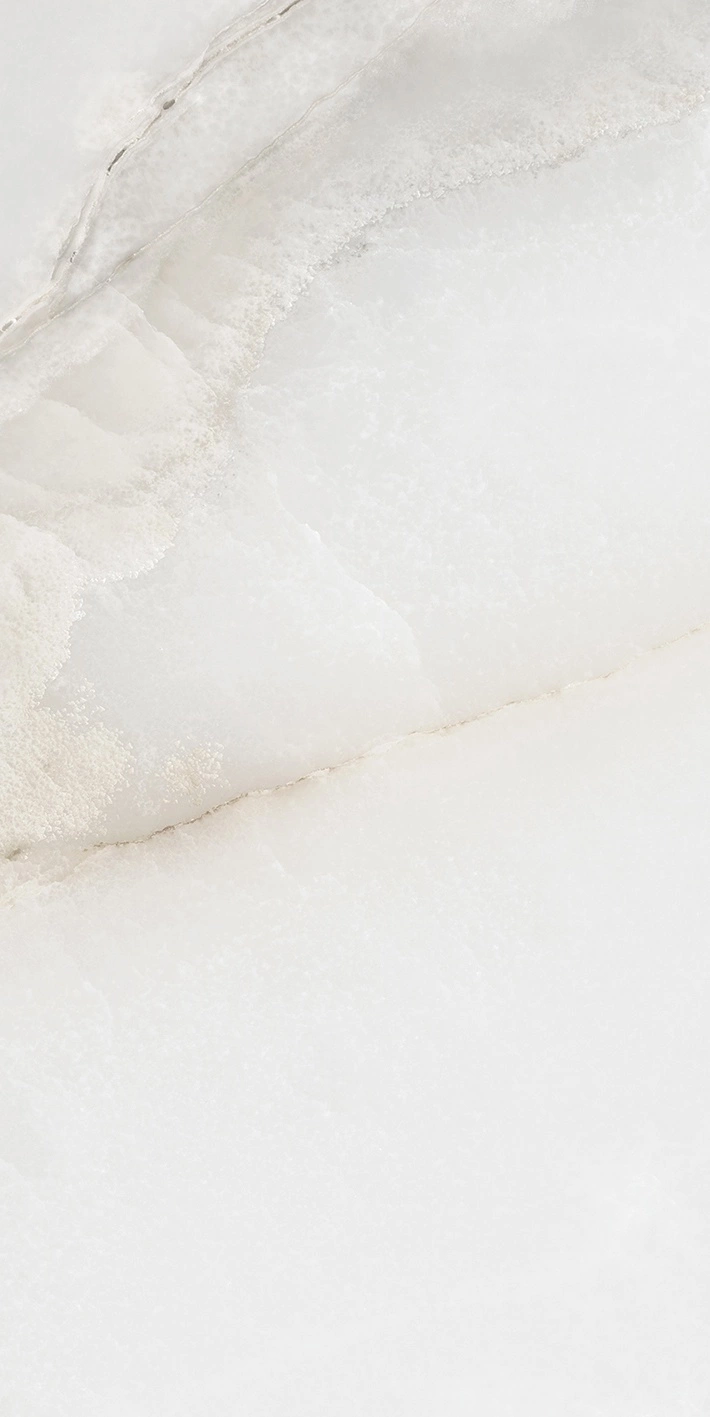 Florim Rex Reves De Rex Perle Glossy 30X60 Rett 769808