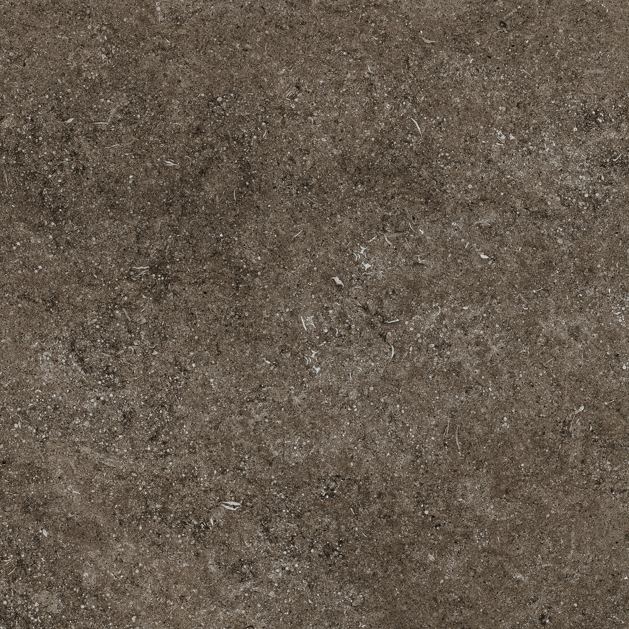 Florim Casa Dolce Casa Sensi Brown Fossil 80X80 Rett 768379