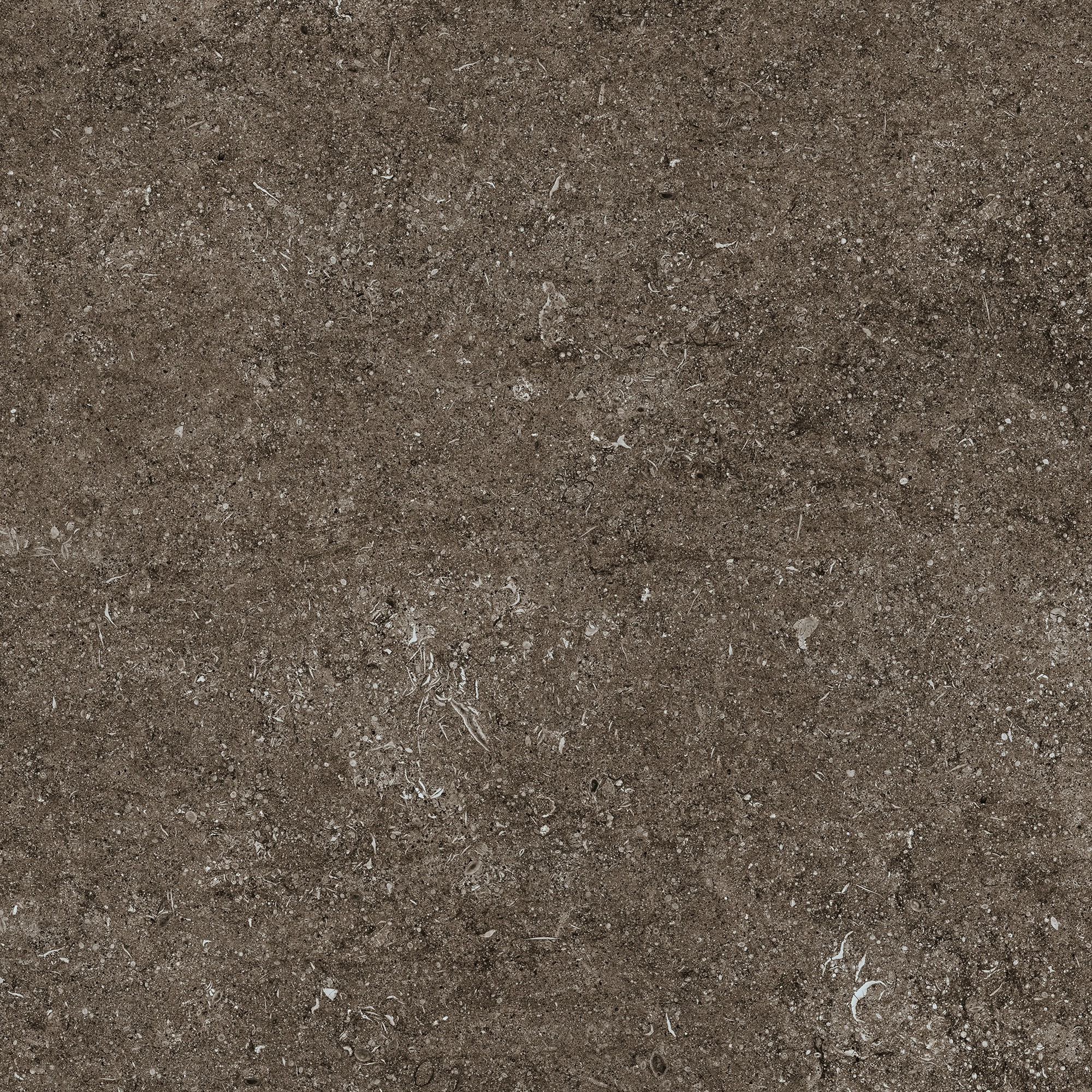 Florim Casa Dolce Casa Sensi Brown Fossil 80X80 Rett 768379