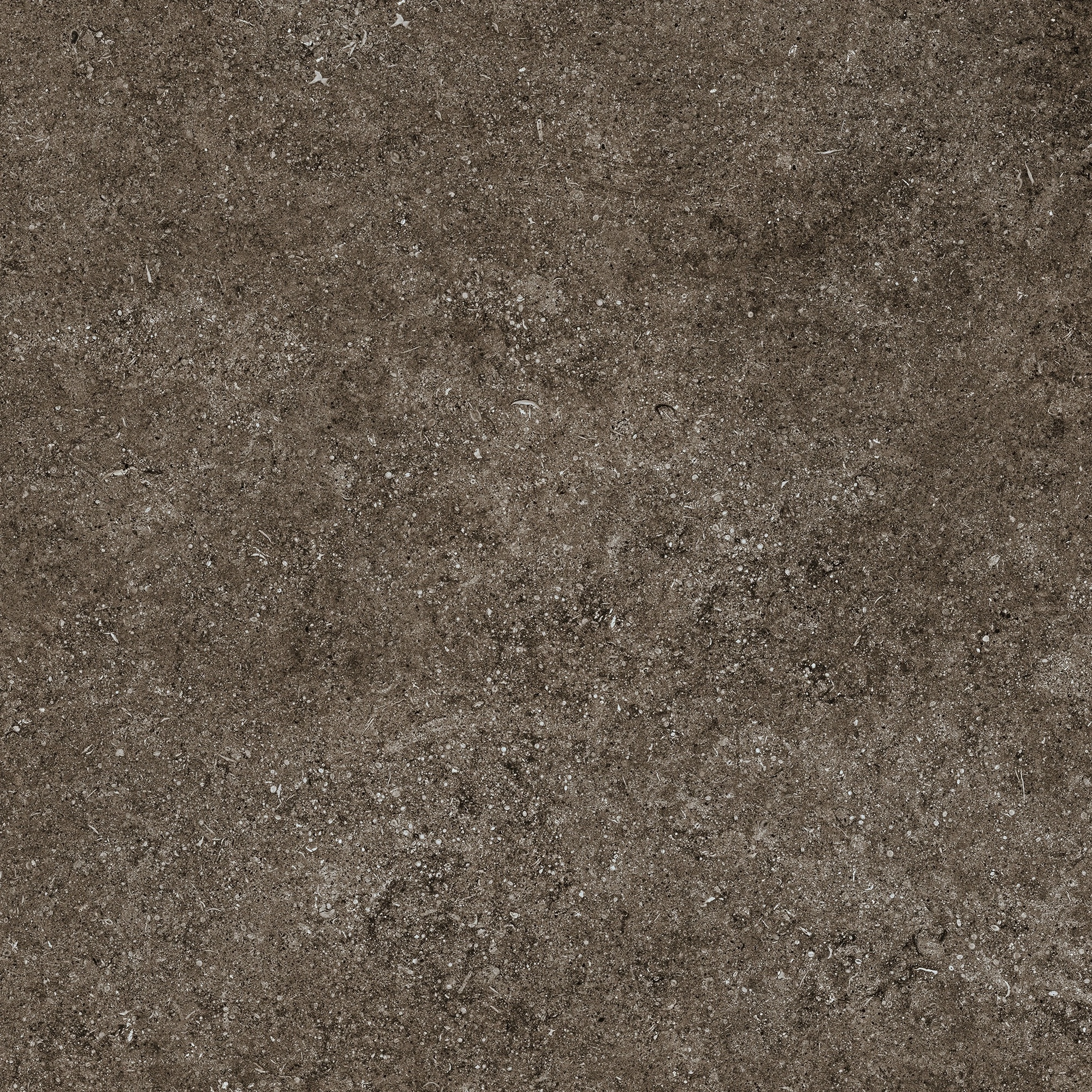 Florim Casa Dolce Casa Sensi Brown Fossil 80X80 Rett 768379