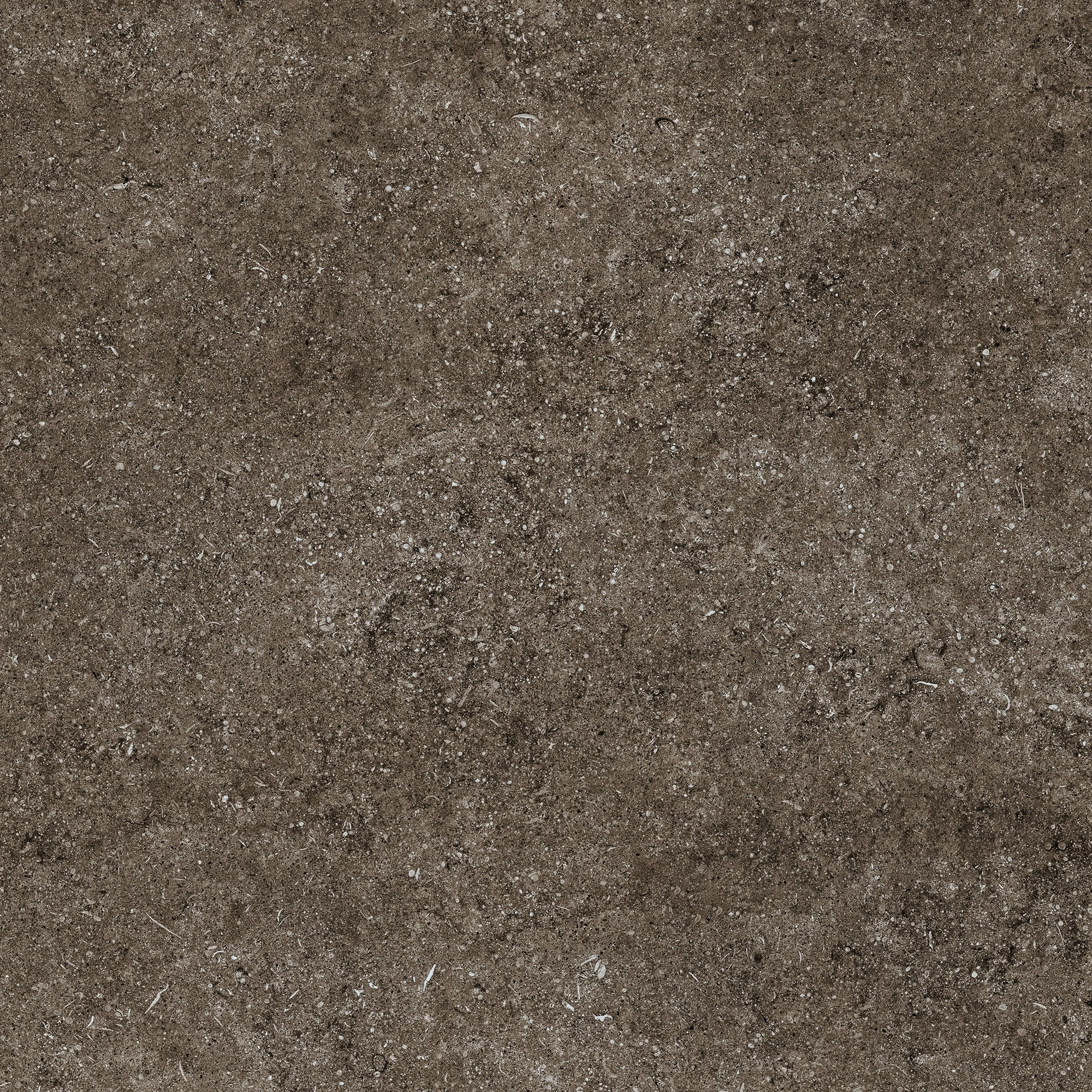 Florim Casa Dolce Casa Sensi Brown Fossil 80X80 Rett 768379