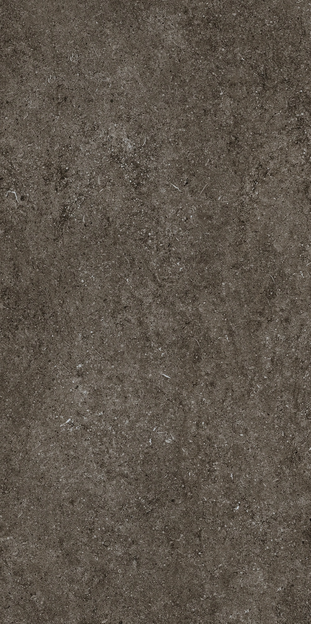 Florim Casa Dolce Casa Sensi Brown Fossil R+Ptv 60X120 Ret 768328