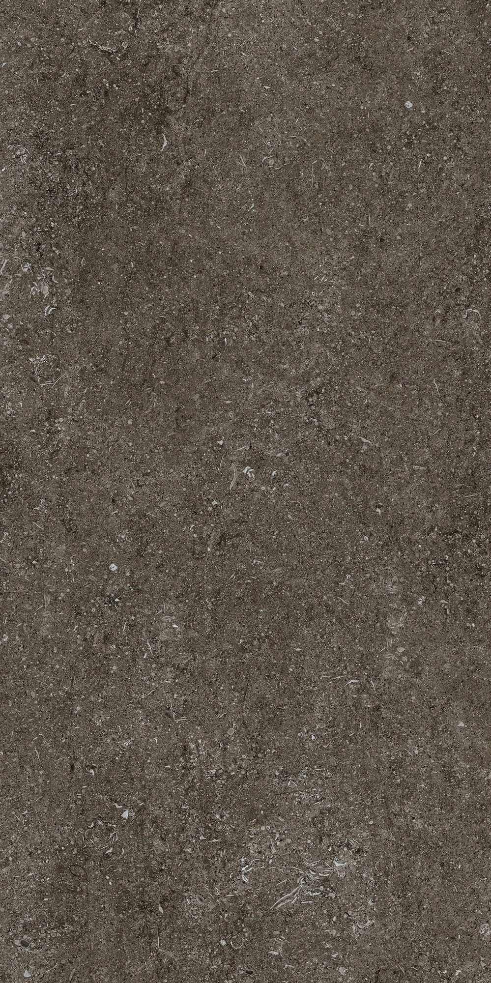 Florim Casa Dolce Casa Sensi Brown Fossil R+Ptv 60X120 Ret 768328